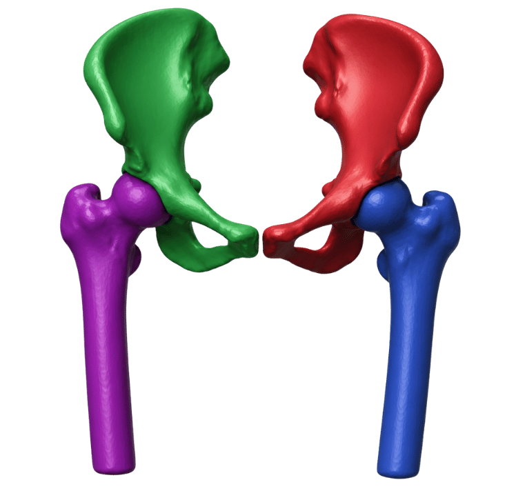 AI Segmentation